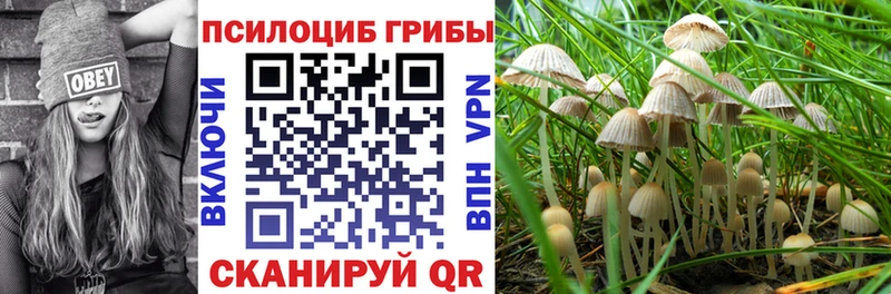 Галлюциногенные грибы MAGIC MUSHROOMS  Купить закладки  Волчанск 